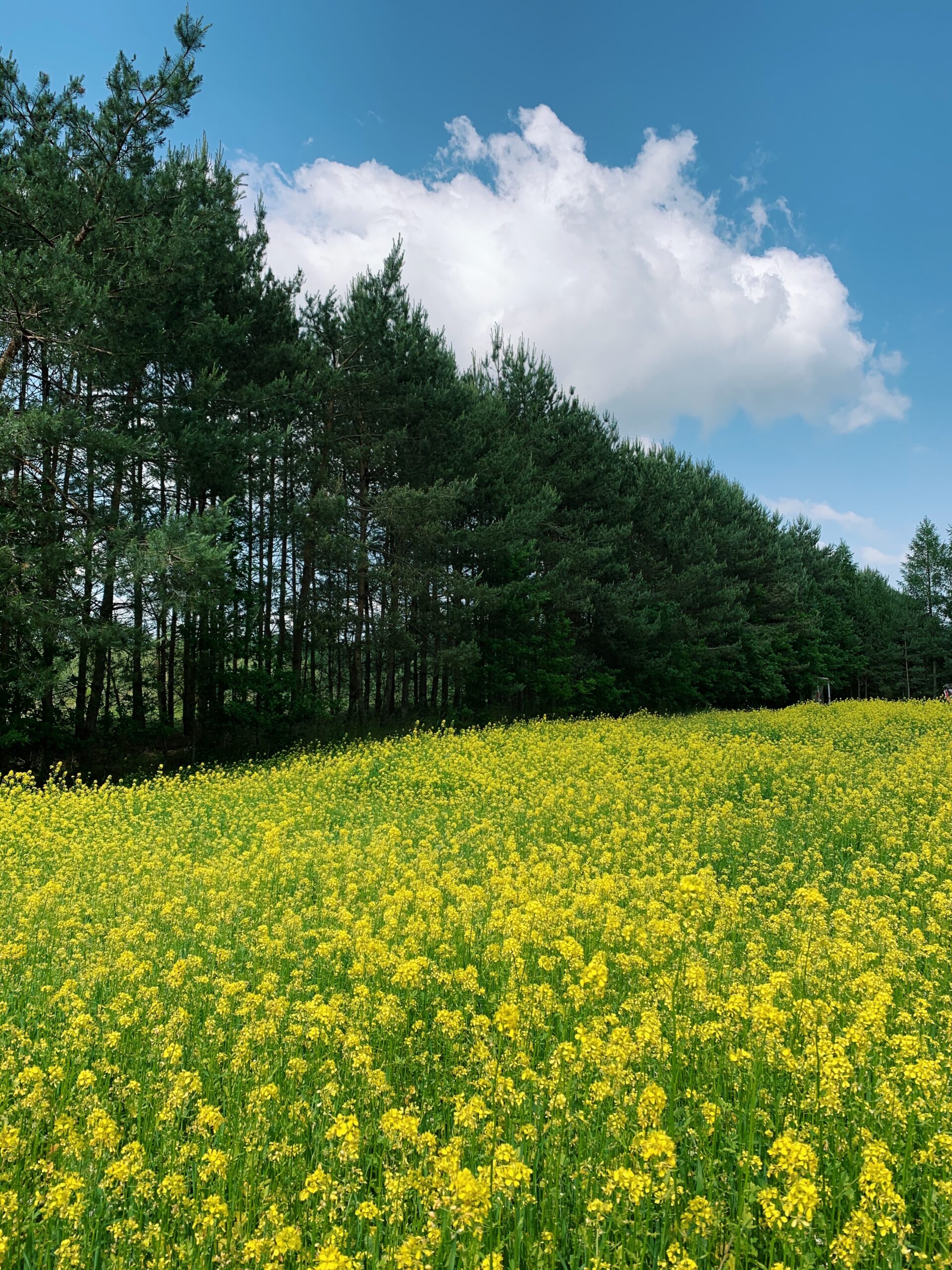 Processed with VSCO with c1 preset