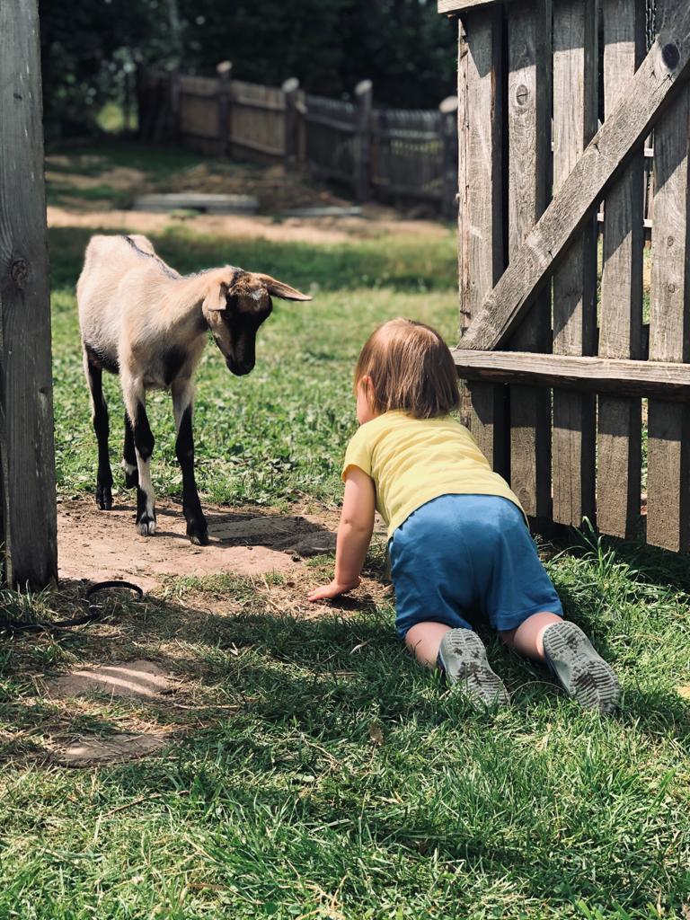 6c4fbdd5-0db4-4ba3-af4f-17a5fb7c395e